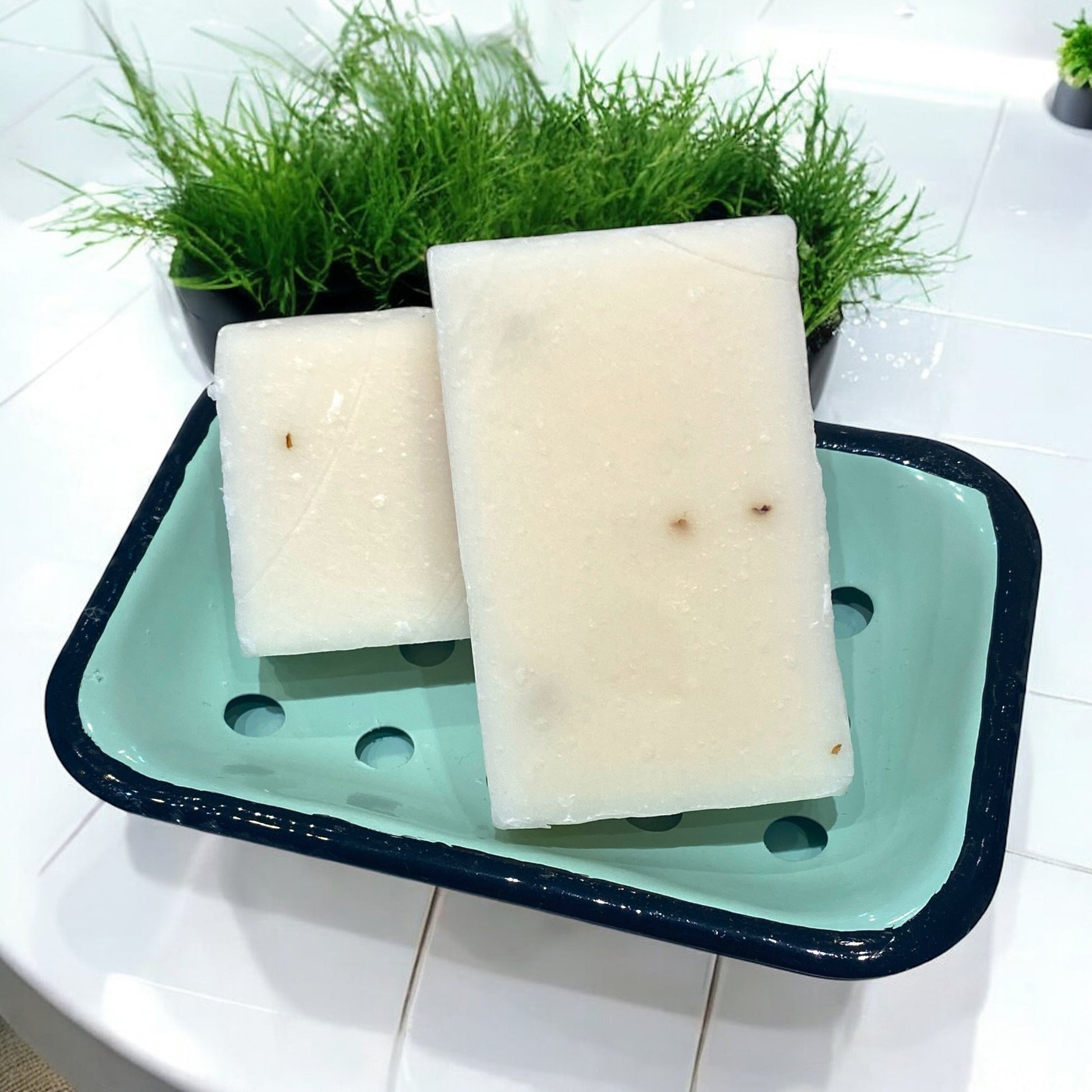 Aloe and Eucalyptus Cold Press Soap