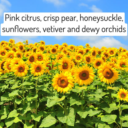 Honey Infused Body Wash - Sunflower Fields